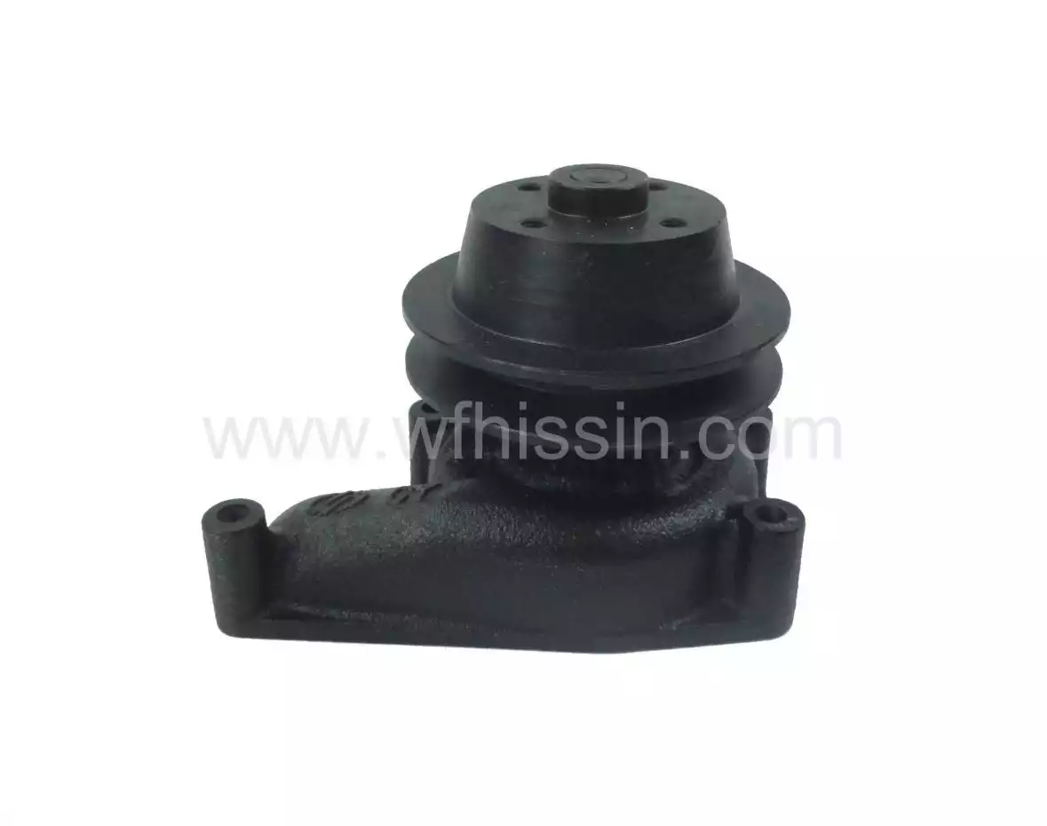 Water pump assembly YSD490